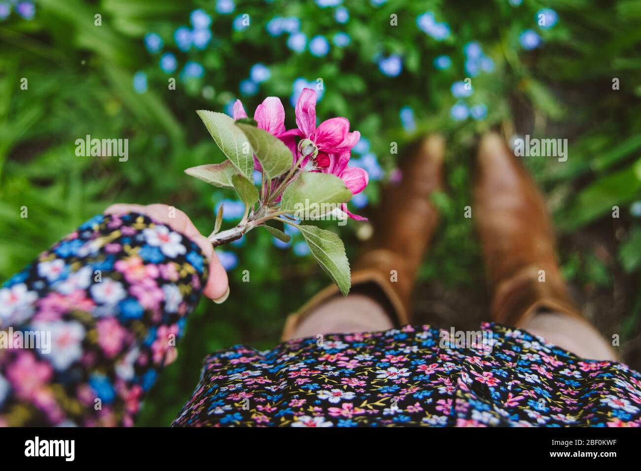 Eine Frau oder ein Mädchen, die an einem Frühlingstag draußen steht, ein Blumenkleid und Cowboystiefel trägt und rosa Blüten, frisch und blumig hält. Flache freiheitsgrade Stockfoto