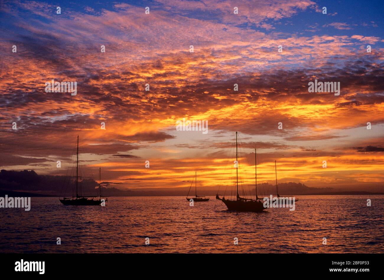 1980ER JAHRE FRIEDLICHE SEGELBOOTE AUF DEM MEER WASSER SILHOUETTED VON SPEKTAKULÄREN ABEND HORIZONT SONNENUNTERGANG KAANAPALI MAUI HAWAII USA - KL11620 LSS001 HARS BY ON CONTENTMENT ENDE DES TAGES FERIEN FRIEDLICH HI MAUI KONZEPTIONELLE FLUCHT ENTSPANNUNG URLAUB VERTÄUT ALTMODISCHE SPEKTAKULÄRE SONNENUNTERGANG Stockfoto