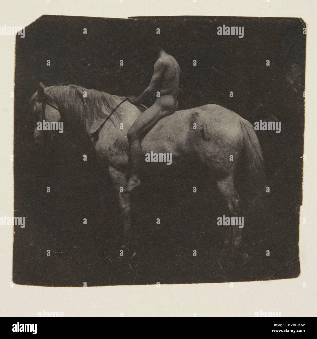 Samuel Murray Auf Eakins Horse Billy. LOS ANGELES COUNTY MUSEUM OF ART. "Manly Pursuits: The Sporting Images of Thomas Eakins", 9. September-5. Dezember 2010.HIRSHHORN MUSEUM UND SKULPTURENGARTEN, Smithsonian Institution, Washington, DC. 'Dark Matters', 24. Januar 2012-6 Januar 2013, keine Katze. Stockfoto