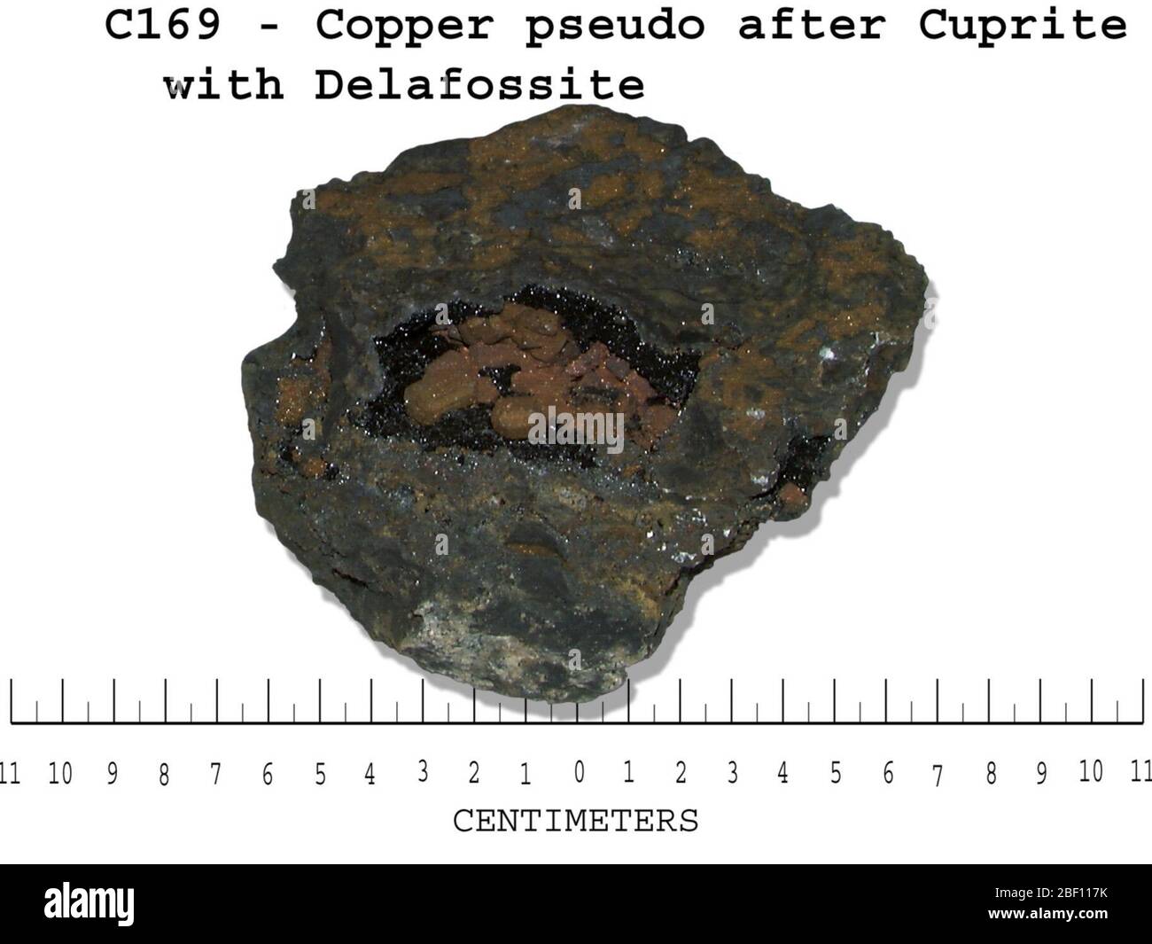 Kupfer. Juli 20161 Stockfoto