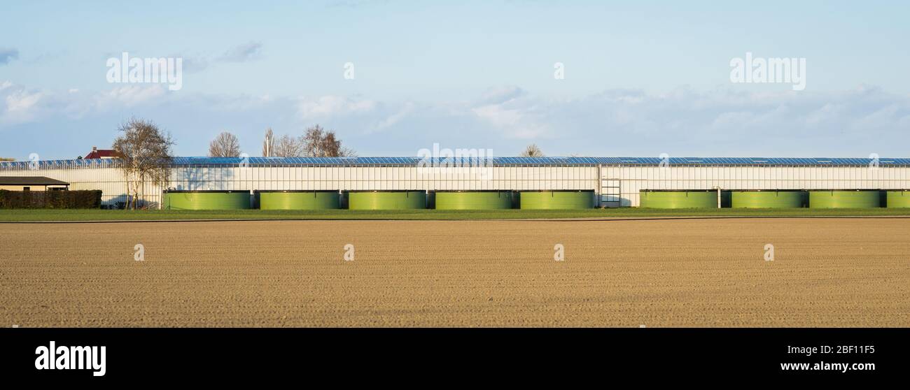 Panoramablick auf Gewächshäuser mit Wasserbecken zur Bewässerung Stockfoto