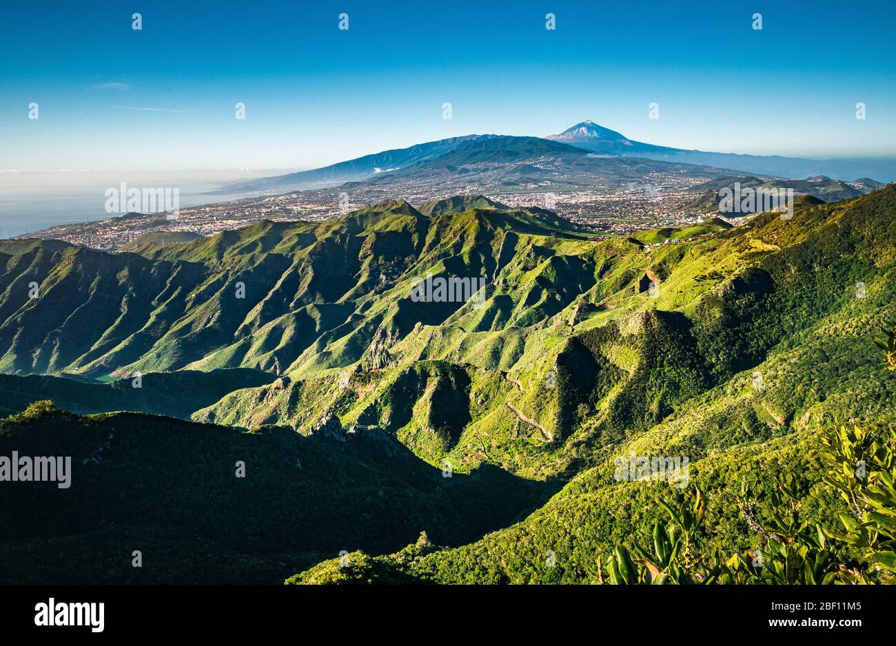 Zerklüftete Landschaft des Anaga Rural Park, der nördlichsten Ecke Teneriffas mit Teide im Hintergrund, bedeckt von einem Morgennebel. Stockfoto