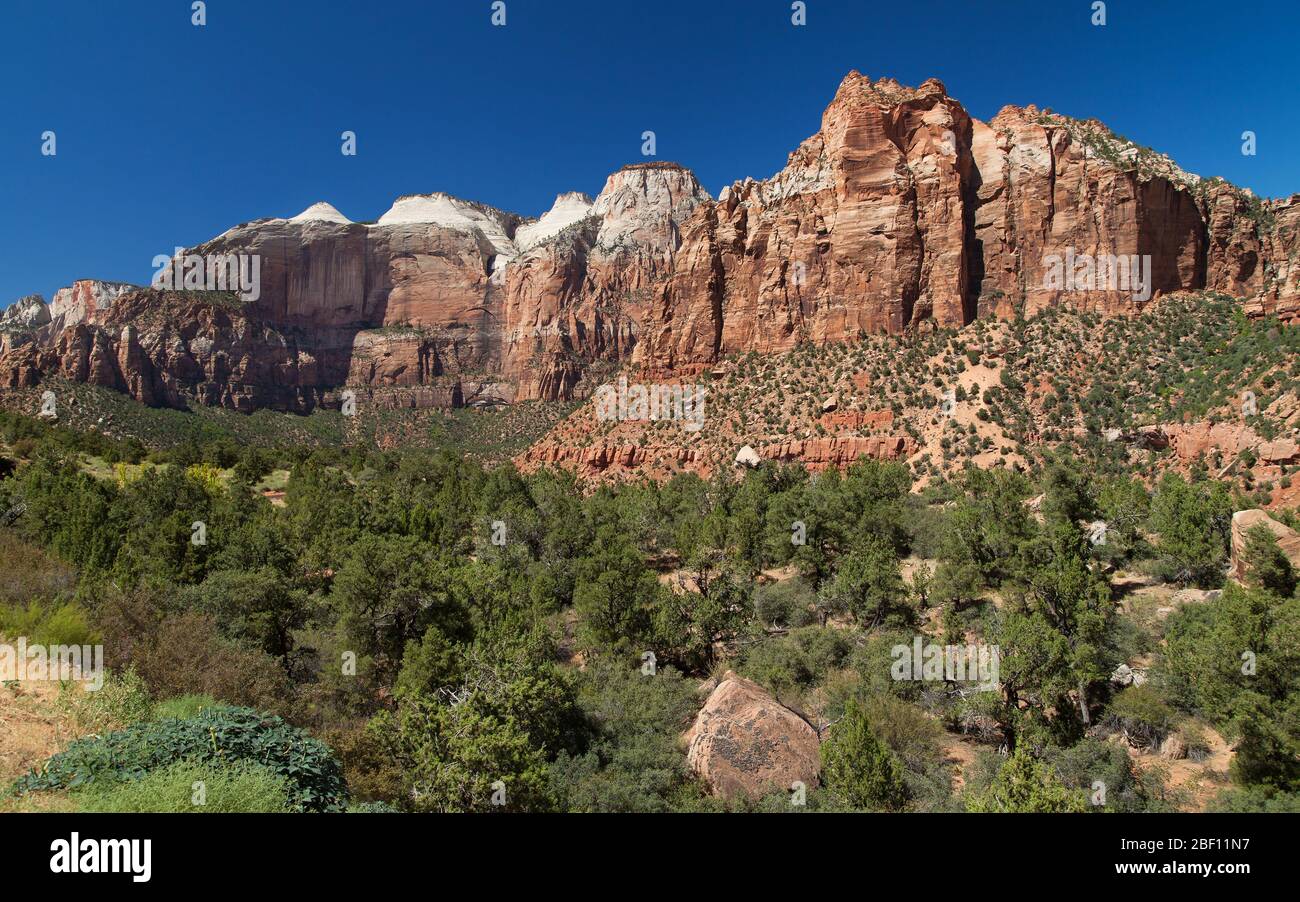 The Streaked Wall and Mount Spry, Zion National Park, Utah, USA. Stockfoto