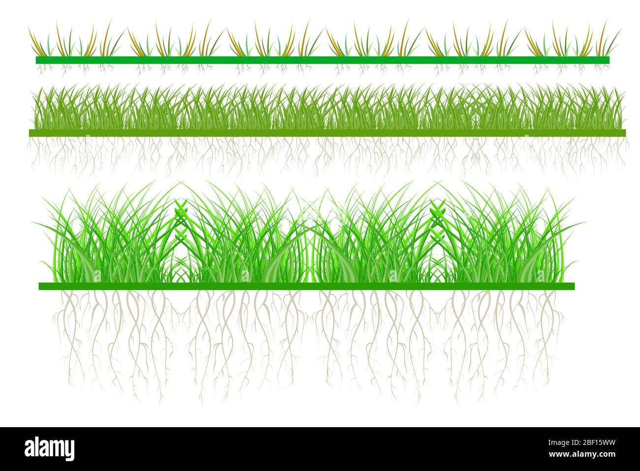 Setzen Sie grünes Gras isoliert auf weißem Hintergrund. Felder und Frühling Saison horizontale Gartenelemente. Sammlung von biologischen Pflanzen. Abbildung des Vektorgrafiken Stock Vektor