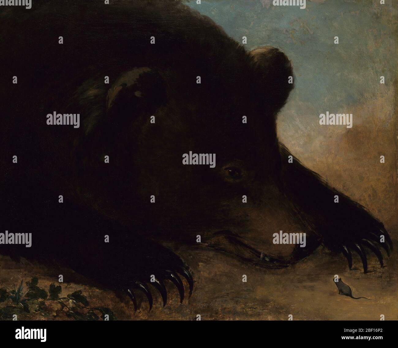 Porträts eines Grizzly-Bären und Lebensgröße der Maus. George Catlin hat zwei Grizzly-Bären in die acht Tonnen Material für seine Indian Gallery aufgenommen, die er 1839 nach England brachte. Aber die Bären waren zerstörerische Schädlinge und Catlin verkaufte sie schließlich im Oktober 1840 an Londons Zoological Gardens. Stockfoto