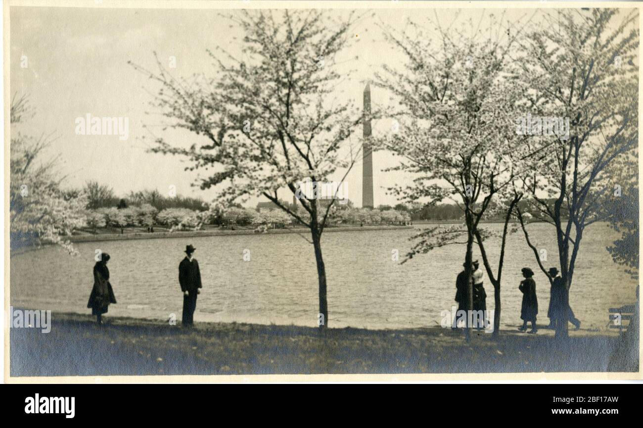 Kirschblüten rund um das Tidal Basin mit dem Washington Monument im Hintergrund. Smithsonian Institution Archives, Record Unit 7355, Martin A. Gruber Photograph Collection, Image No. SIA2010-2096Smithsonian Institution Archives, Capital Gallery, Suite 3000, MRC 507; 600 Maryland Avenue, SW; Washington, DC 20024-2520 Stockfoto