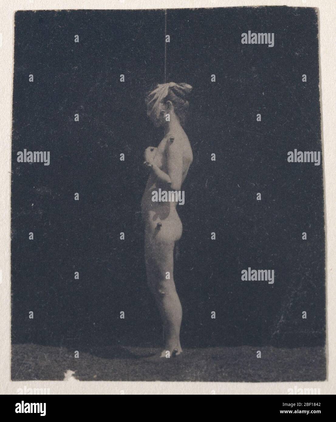 Nicht Identifiziertes Modell. HIRSHHORN MUSEUM UND SKULPTURENGARTEN, Smithsonian Institution, Washington, DC. "Ways of Seeing: John Baldessari Explores the Collection", 26. Juli 2006-23. September 2007, keine Katze.HIRSHHORN MUSEUM UND SKULPTURENGARTEN, Smithsonian Institution, Washington, DC. Stockfoto