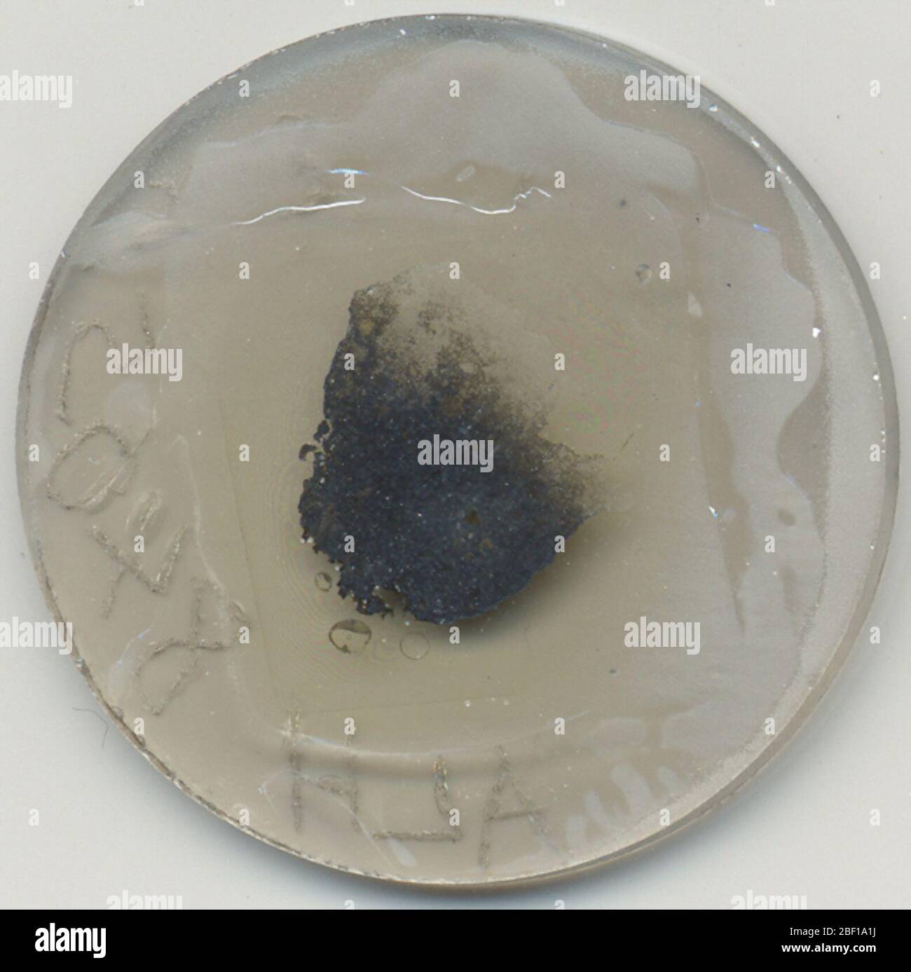 ALH 840513. August 20181, 23 Stockfoto