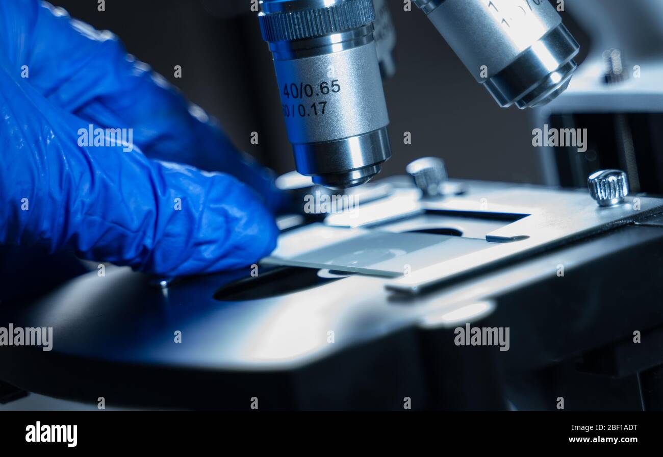 Nahaufnahme des Labormikroskops mit Probenglas. Stockfoto