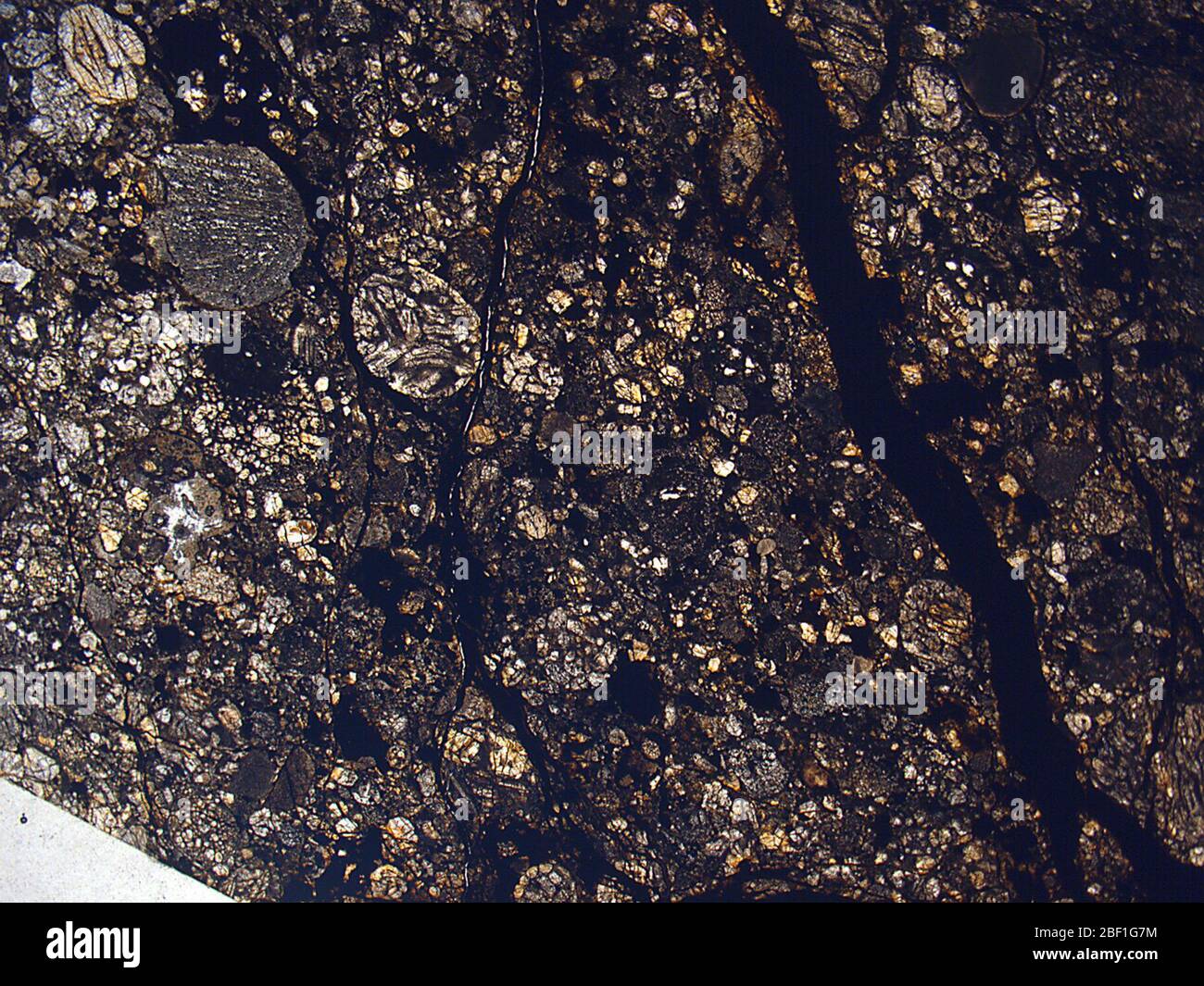 Bledsoe. 30 Mai 201947362861 Stockfoto