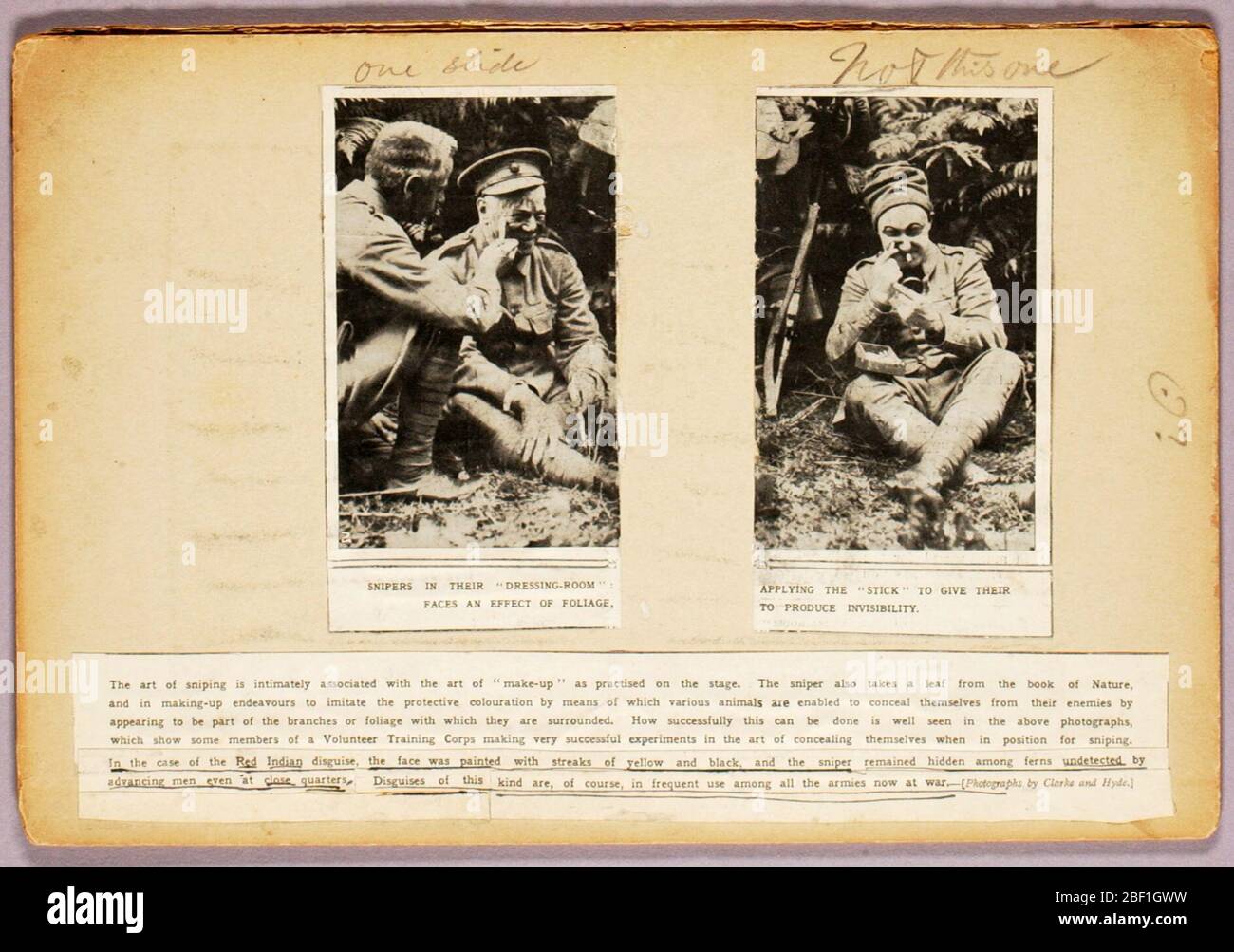 Die Kunst des Schnipings Studienmappe für Buch Verbergen Färbung im Tierreich. Stockfoto