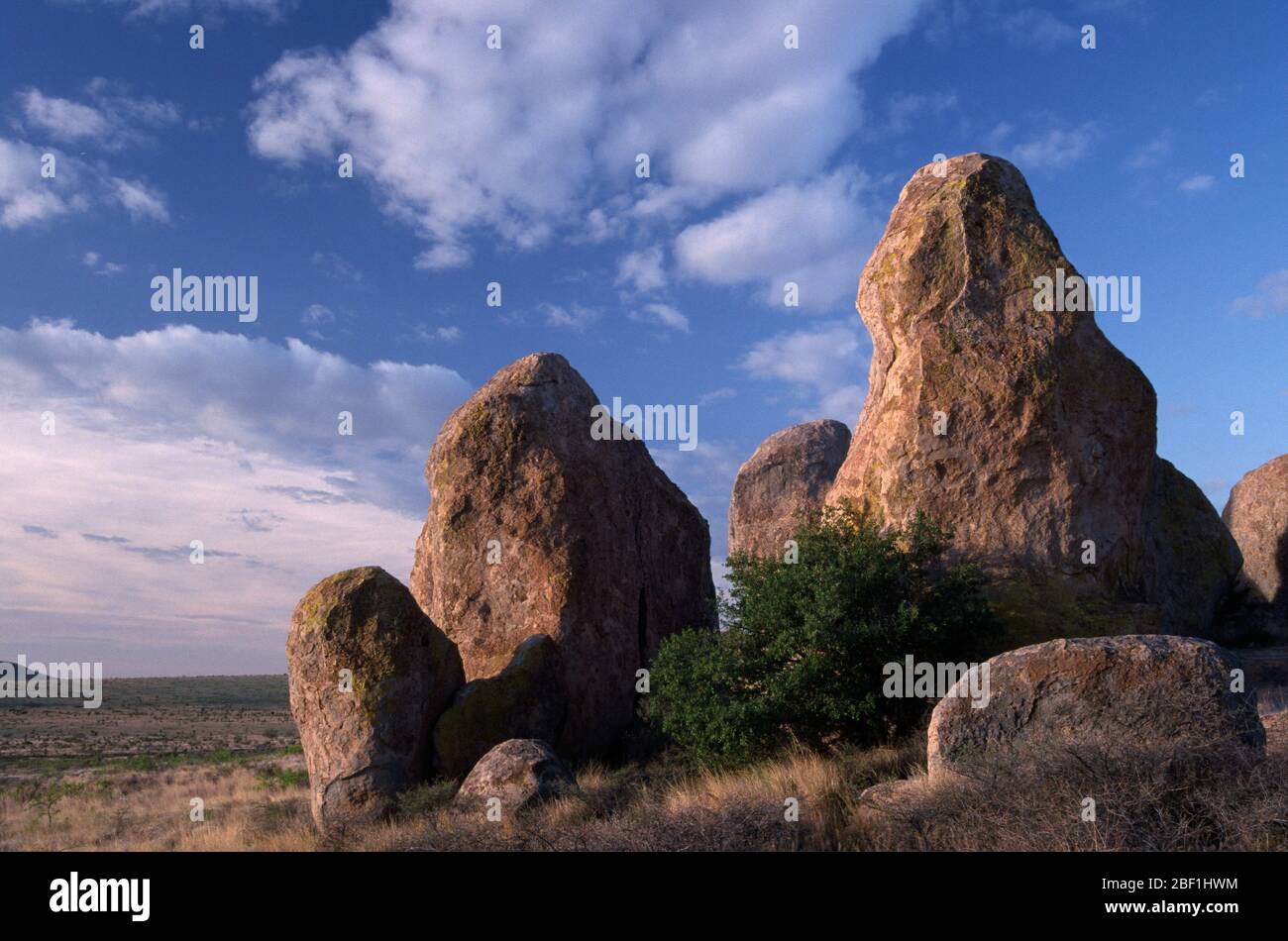 Felsvorsprung, City of Rocks State Park, New Mexico Stockfoto
