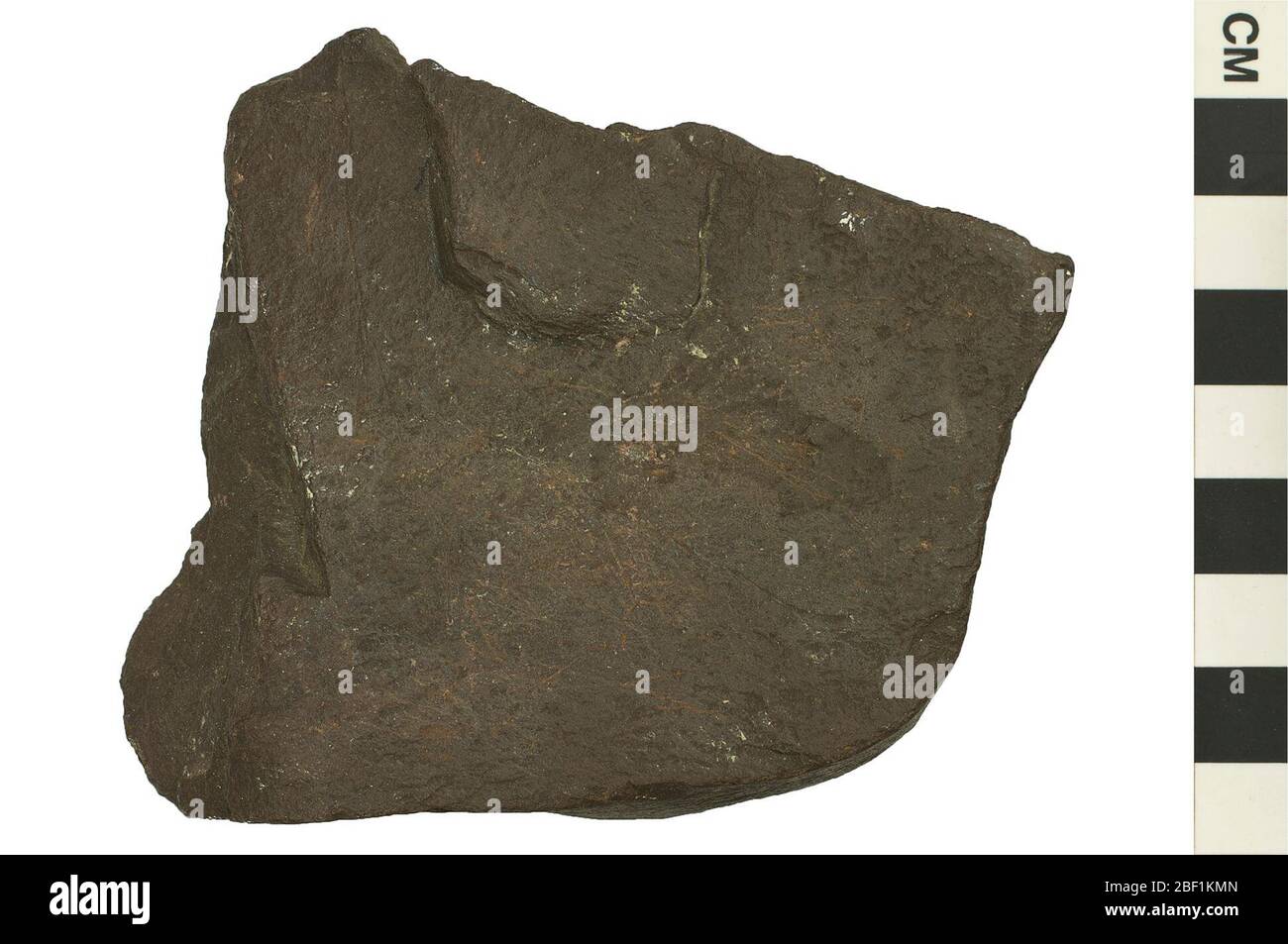 Sedimentgestein Argillit. Dieses Objekt ist Teil der Sammlung Bildung und Öffentlichkeitsarbeit, von denen einige im Wissenschaftsbildungszentrum Q?rius zu sehen sind.114 Jan 2020 Stockfoto