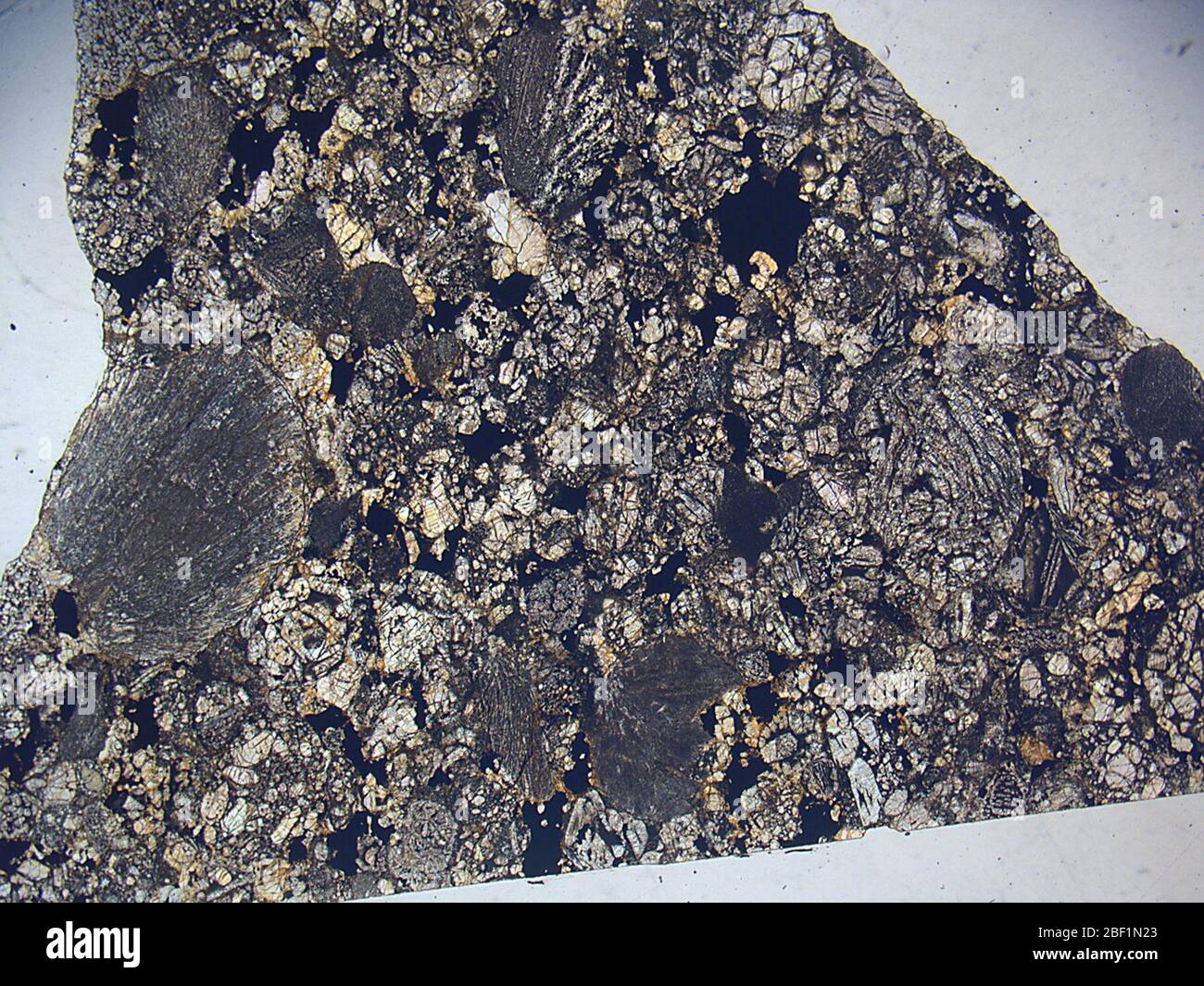 Kaufman. August 201847362861, 23 Stockfoto