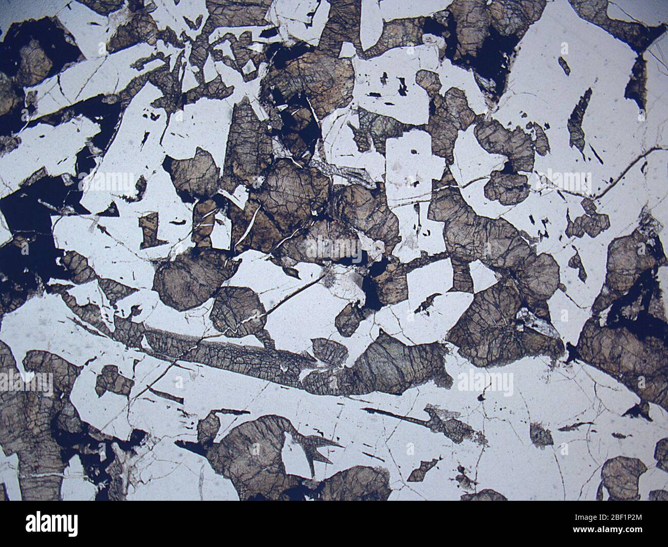 Los Angeles. 22 April 201953329211 Stockfoto