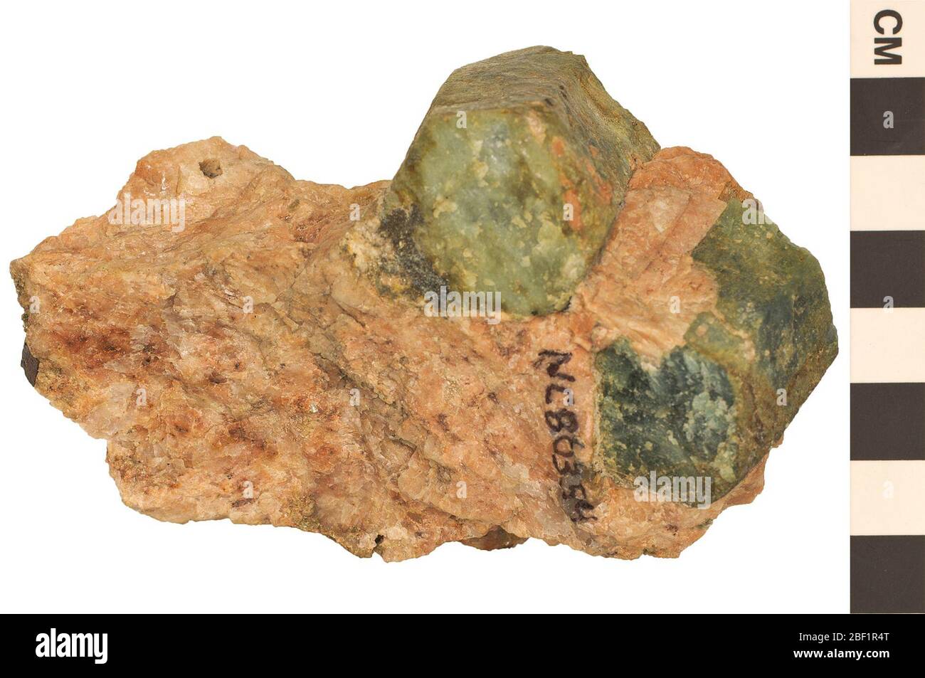 Cyclosilicat Mineral Beryl. Dieses Objekt ist Teil der Sammlung Bildung und Öffentlichkeitsarbeit, von denen einige im Wissenschaftsbildungszentrum Q?rius zu sehen sind.114 Jan 2020 Stockfoto