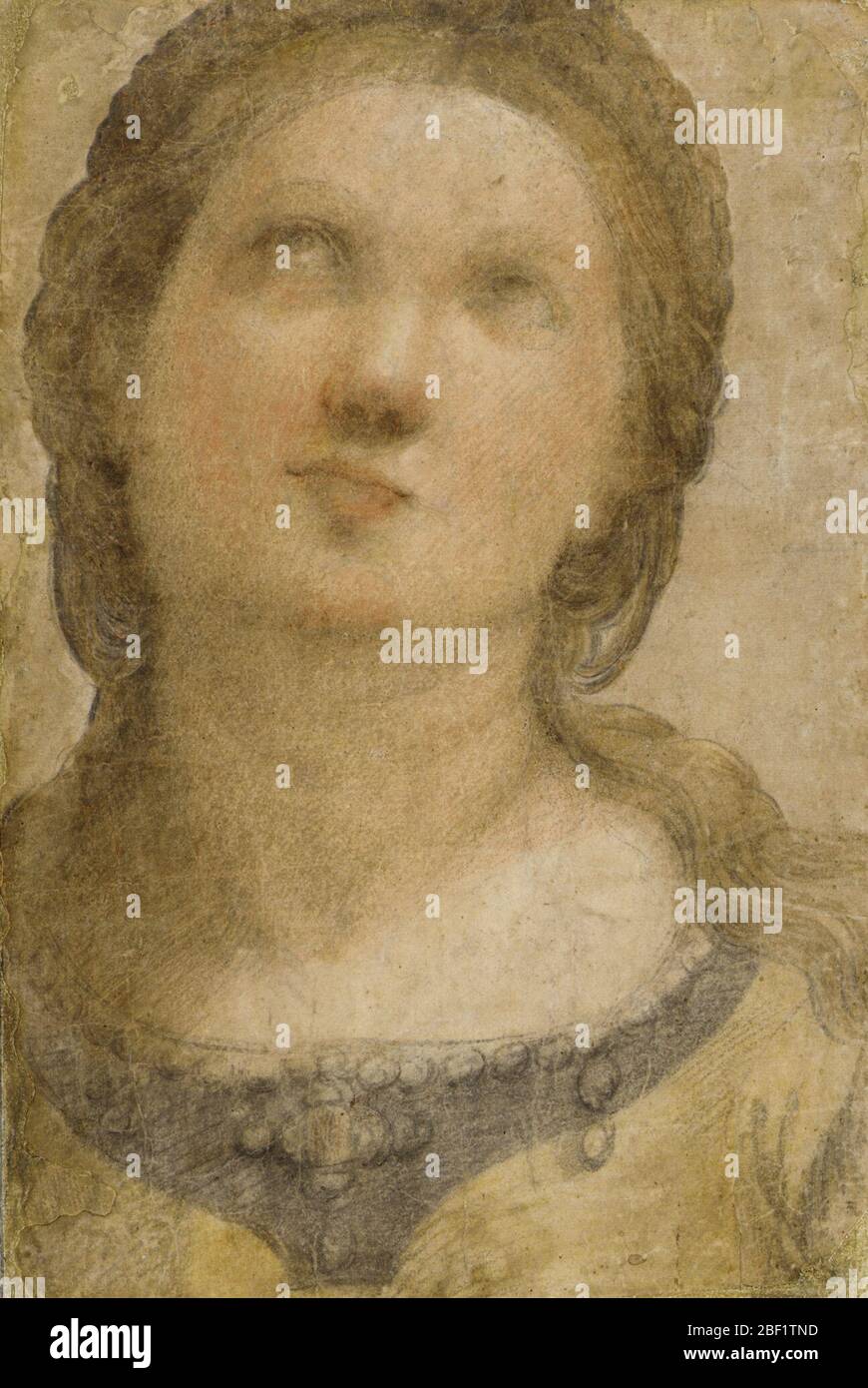 Zeichnung. Stockfoto