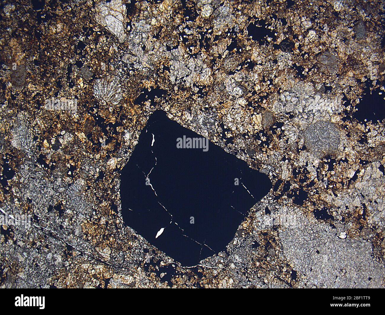 Plainview 1917. August 201847362861, 23 Stockfoto