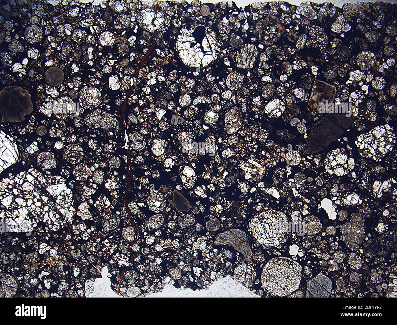 Willaroy. August 201820774561, 23 Stockfoto