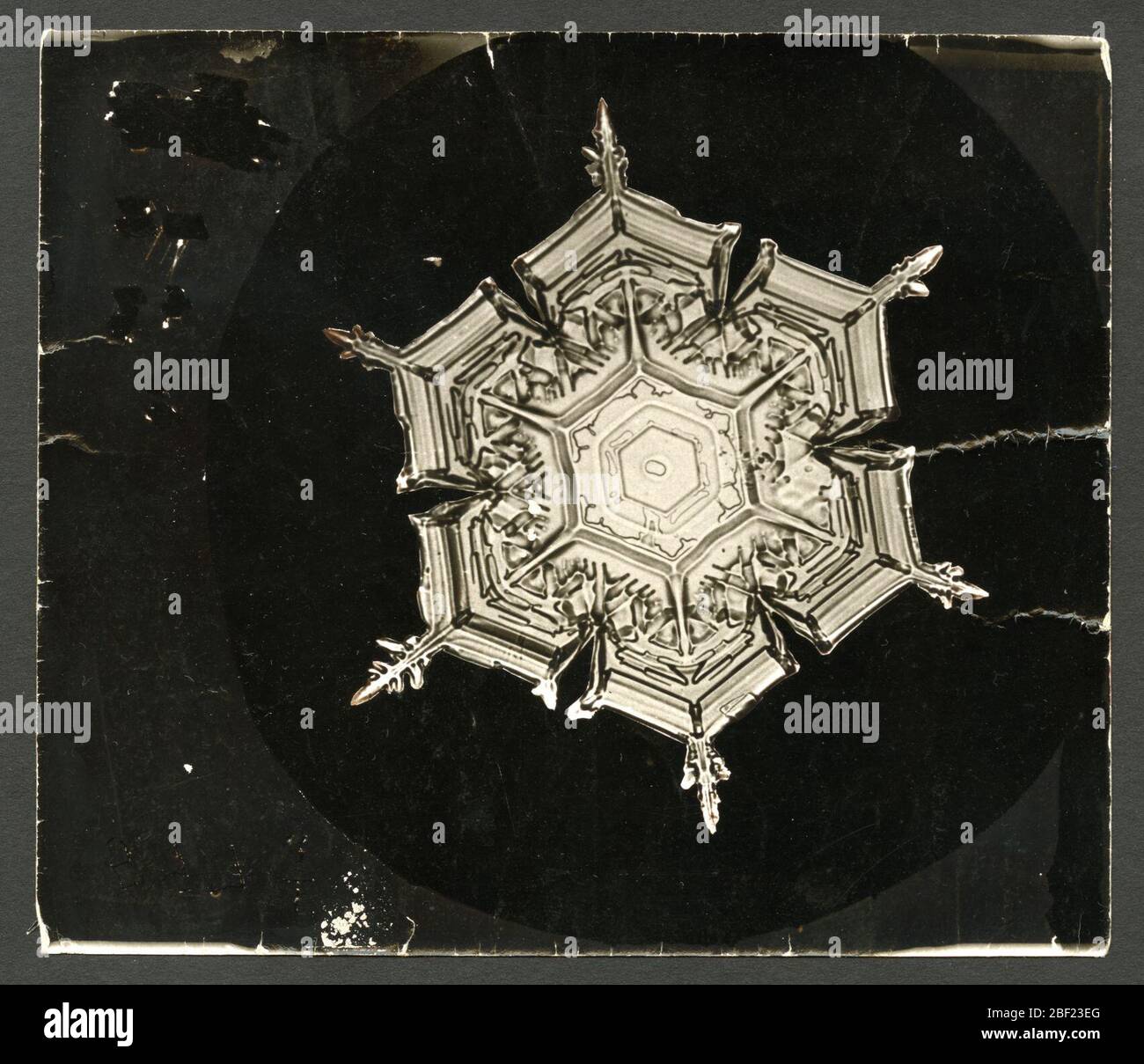 Wilson Bentleys Schneeflocke 579A c 1890. Alternative ID: SPI 265Wilson A. Bentley wurde zum ersten Mal in seiner Kindheit auf einer Farm in Vermont vom Schnee fasziniert und experimentierte jahrelang mit Möglichkeiten, einzelne Schneeflocken zu betrachten, um ihre kristalline Struktur zu untersuchen. Stockfoto