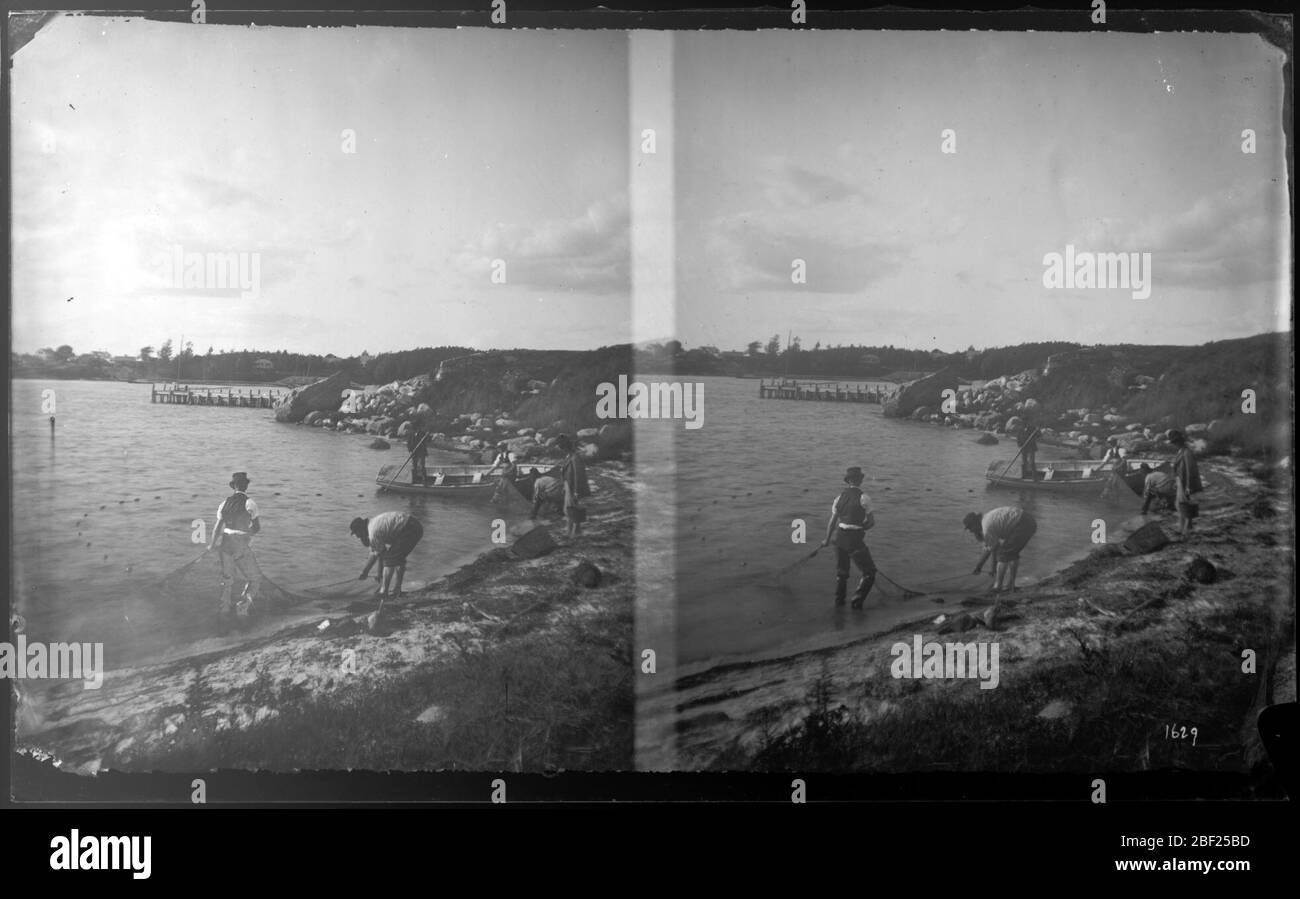 Seine Angeln in Little Harbor Woods Hole Massachusetts. Sammlung von Exemplaren mit Wadennetzen auf dem kleinen Boot 'Sarah Ford', mit Spencer Fullerton Baird, zweiter Sekretär der Smithsonian Institution und Kommissar für Fisch und Fischerei für die United States Fish Commission (am Heck des Bootes mit Netz), George Brown Goode (Stan Stockfoto