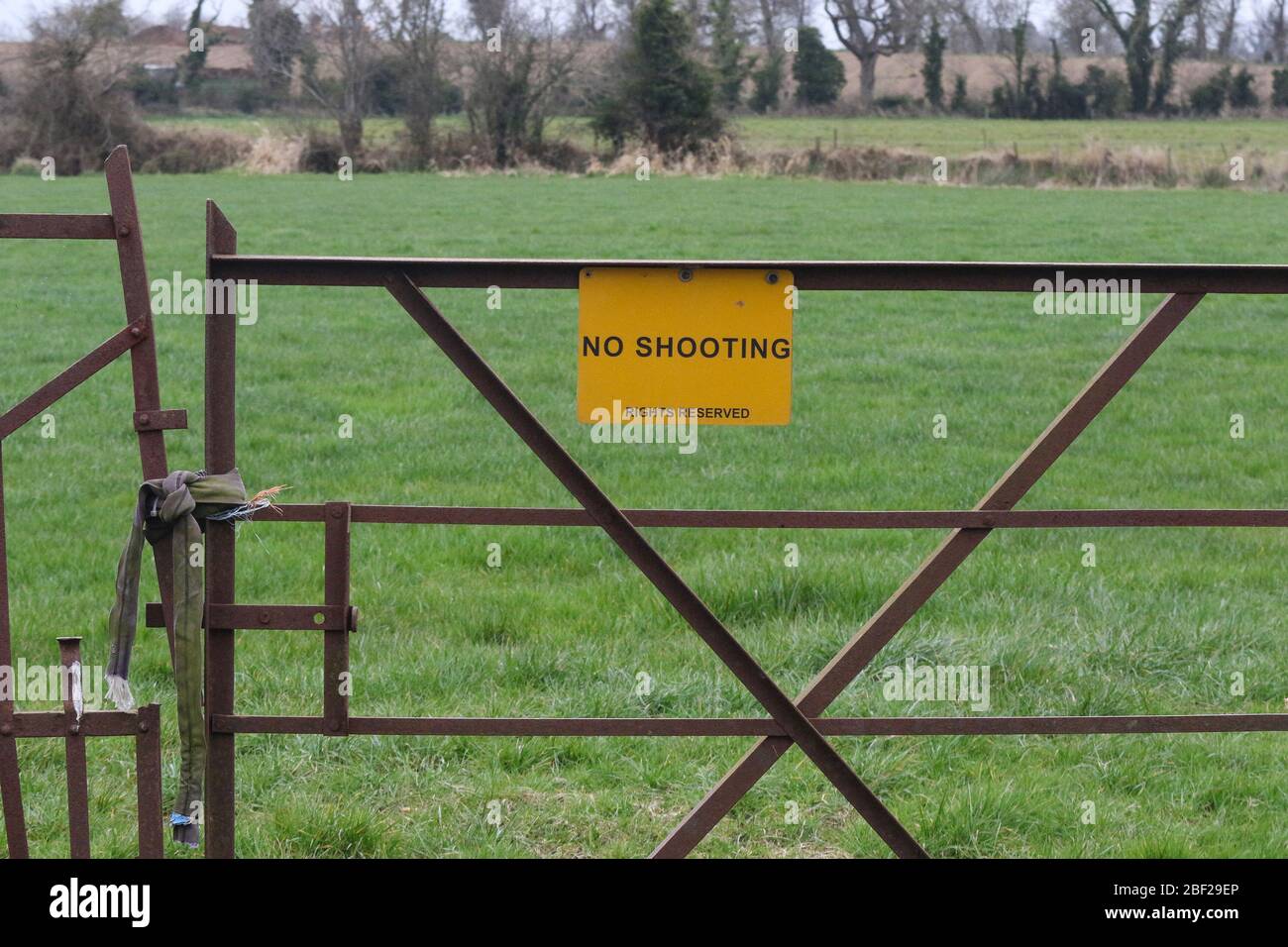 Altes rostendes Metall-Farm-Tor gesichert, um am Eingang in Feld mit einem Metall-gelben Warnschild über keine Schieß-und Schießrechte vorbehalten zu posten. Stockfoto