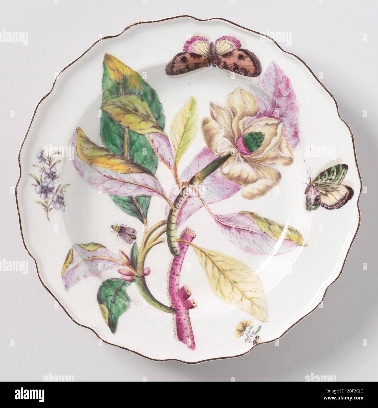 Platte. Eine Platte mit einem gewellten, braunrandigen Rand. Botanische Dekoration einer Magnolie. Dickes lila und grünes Stiel mit gelben, grünen und violetten Lanceatblättern. Große Blüte mit gelblichen Lockenblättern und kegelförmigem lila und grünem Stempel. Stockfoto