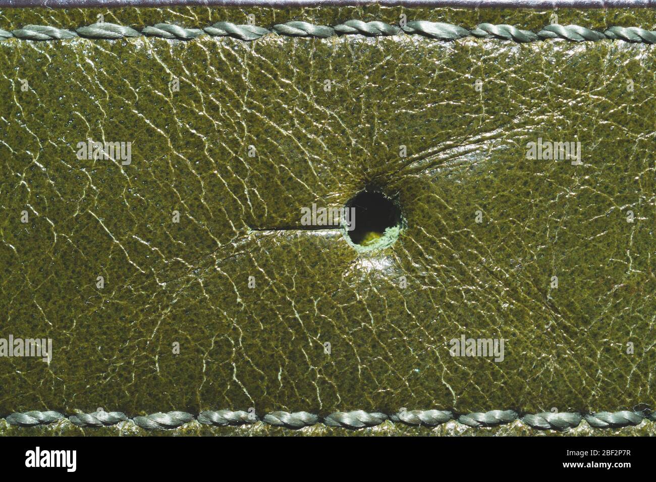 Dunkelgrüne Lederstruktur mit Nähten. Material mit Nähten Makro Hintergrund Stockfoto