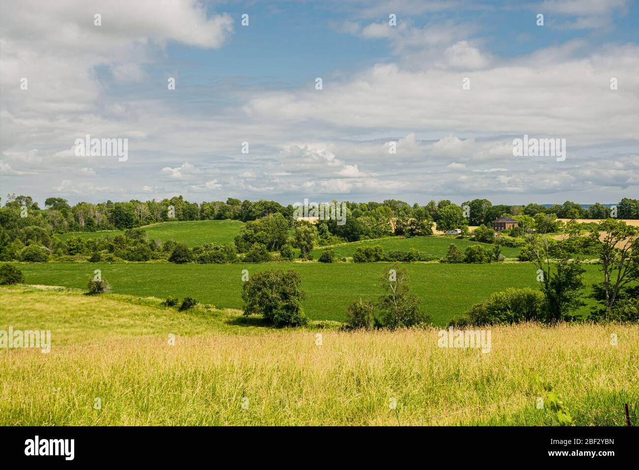 Ländliche Farm Felder Landschaft Stockfoto