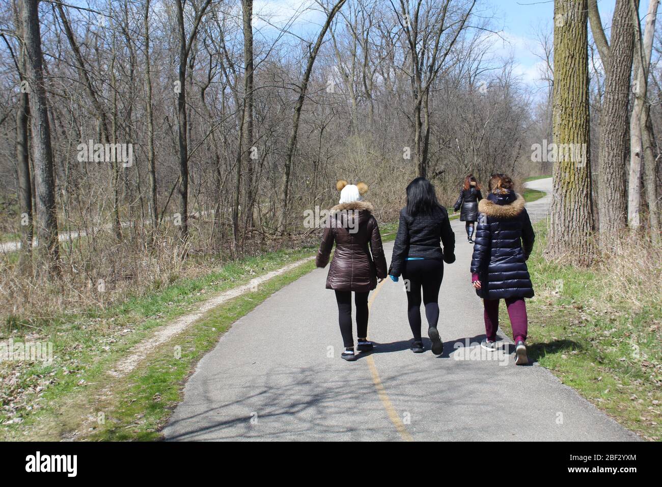 Vier Frauen, die im Frühjahr auf dem North Branch Trail im Blue Star Memorial Woods in Glenview, Illinois, spazieren Stockfoto