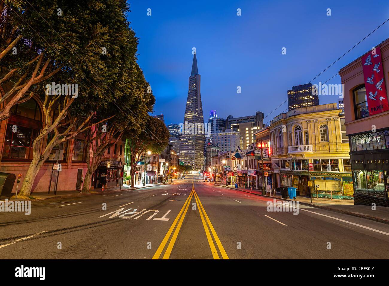 Transamerica Pyramide bei der Blauen Stunde Stockfoto