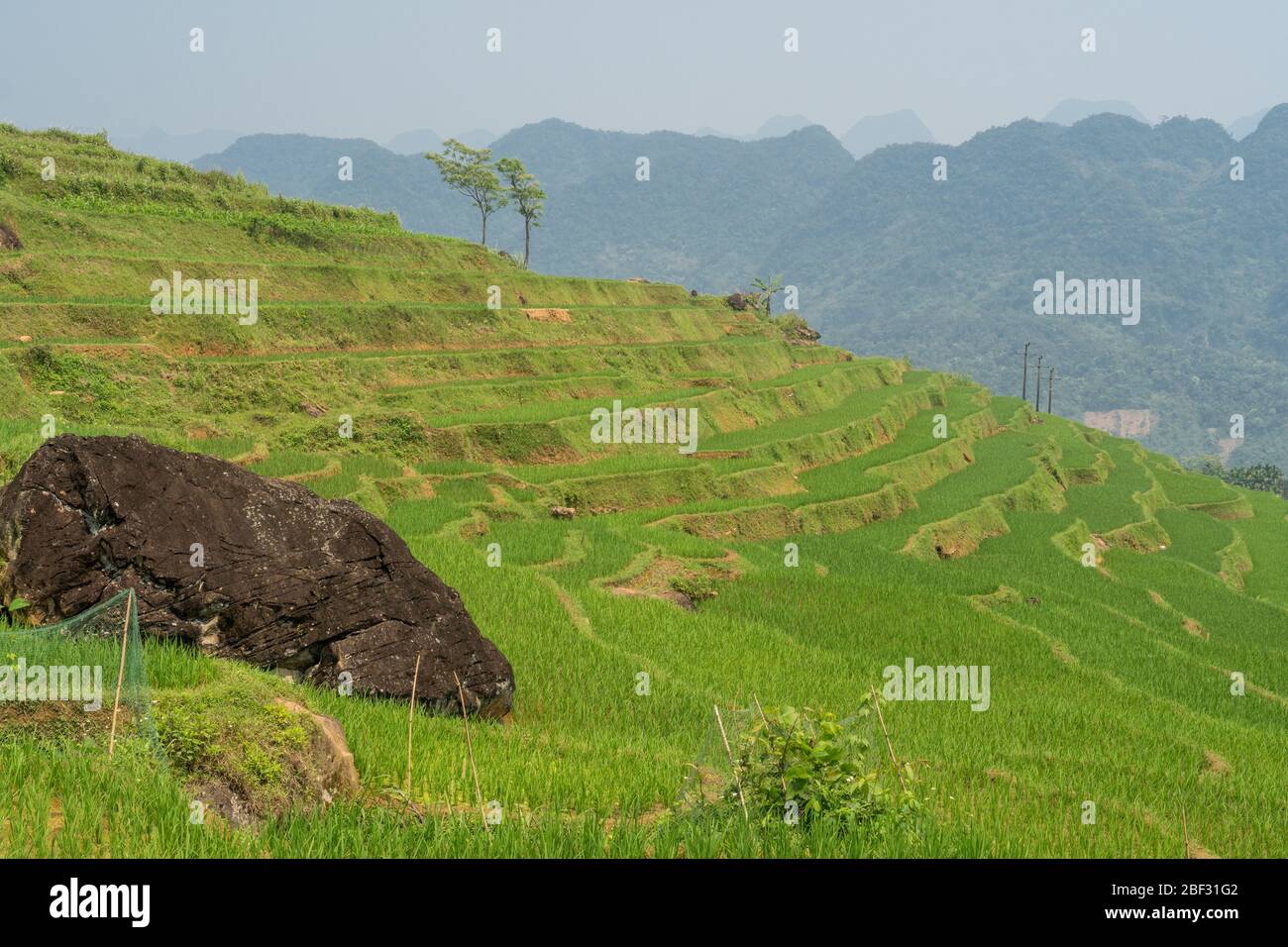 Reisterrassen im Pù Luông Nature Reserve, Vietnam Stockfoto