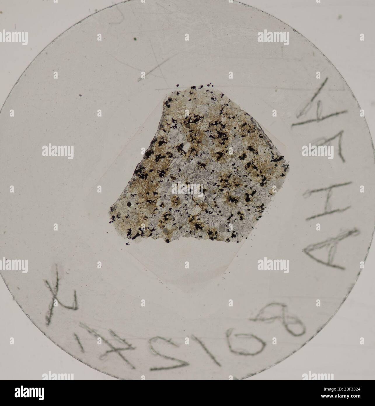 ALHA801244. August 20181, 23 Stockfoto