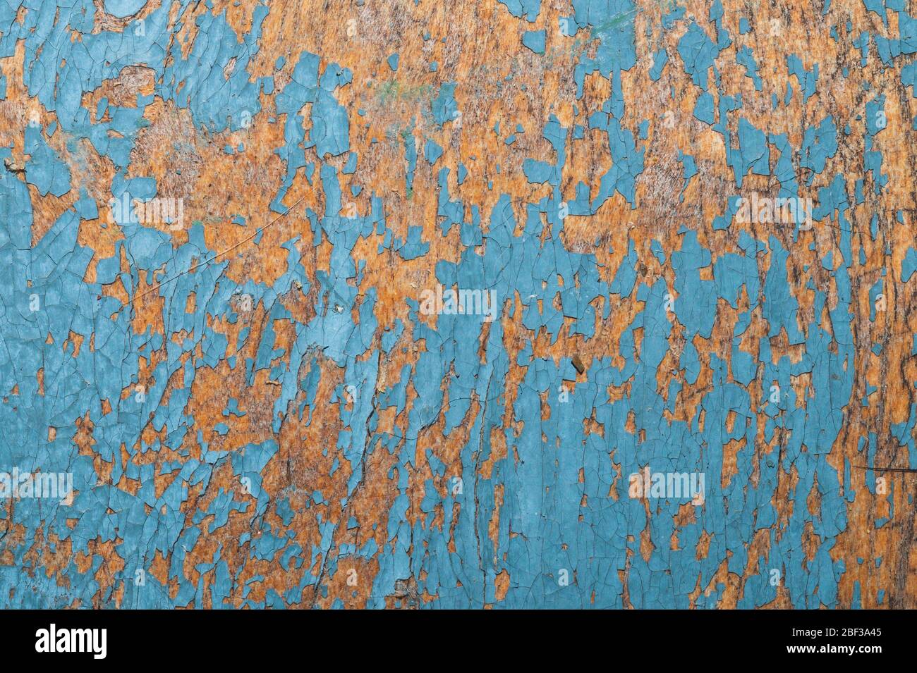 Nahtlose Textur von schäbigen Farbe auf einer Holzoberfläche. Geknackt Holz Hintergrund Makro Stockfoto