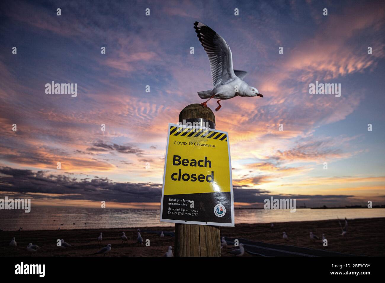 Covid-19, Coronavirus, Pandemiekrise in Melbourne Australien 2020. Ein Schild „Strand geschlossen“ am St Kilda Beach Melbourne, wegen der Pandemie geschlossen. Stockfoto