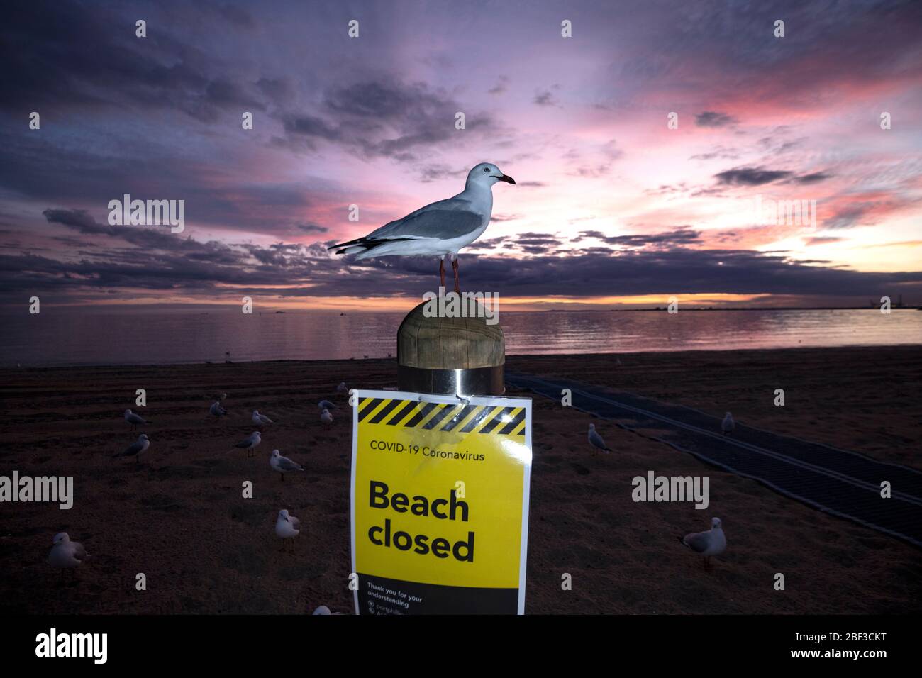 Covid-19, Coronavirus, Pandemiekrise in Melbourne Australien 2020. Ein Schild „Strand geschlossen“ am St Kilda Beach Melbourne, wegen der Pandemie geschlossen. Stockfoto