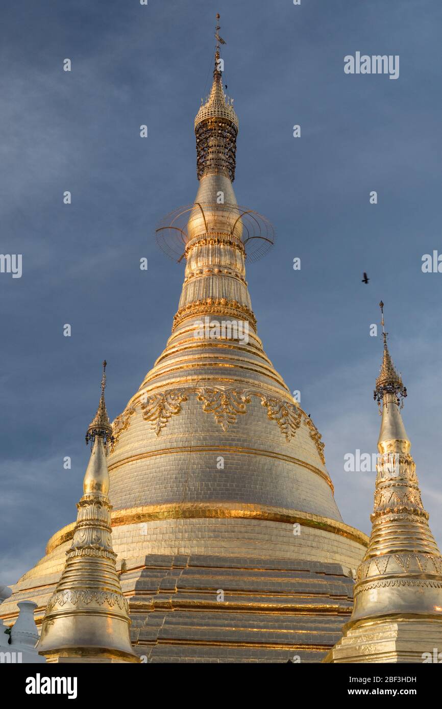 Goldene Kuppeln an der Shwedagon Pagode, Yangon, Myanmar Stockfoto