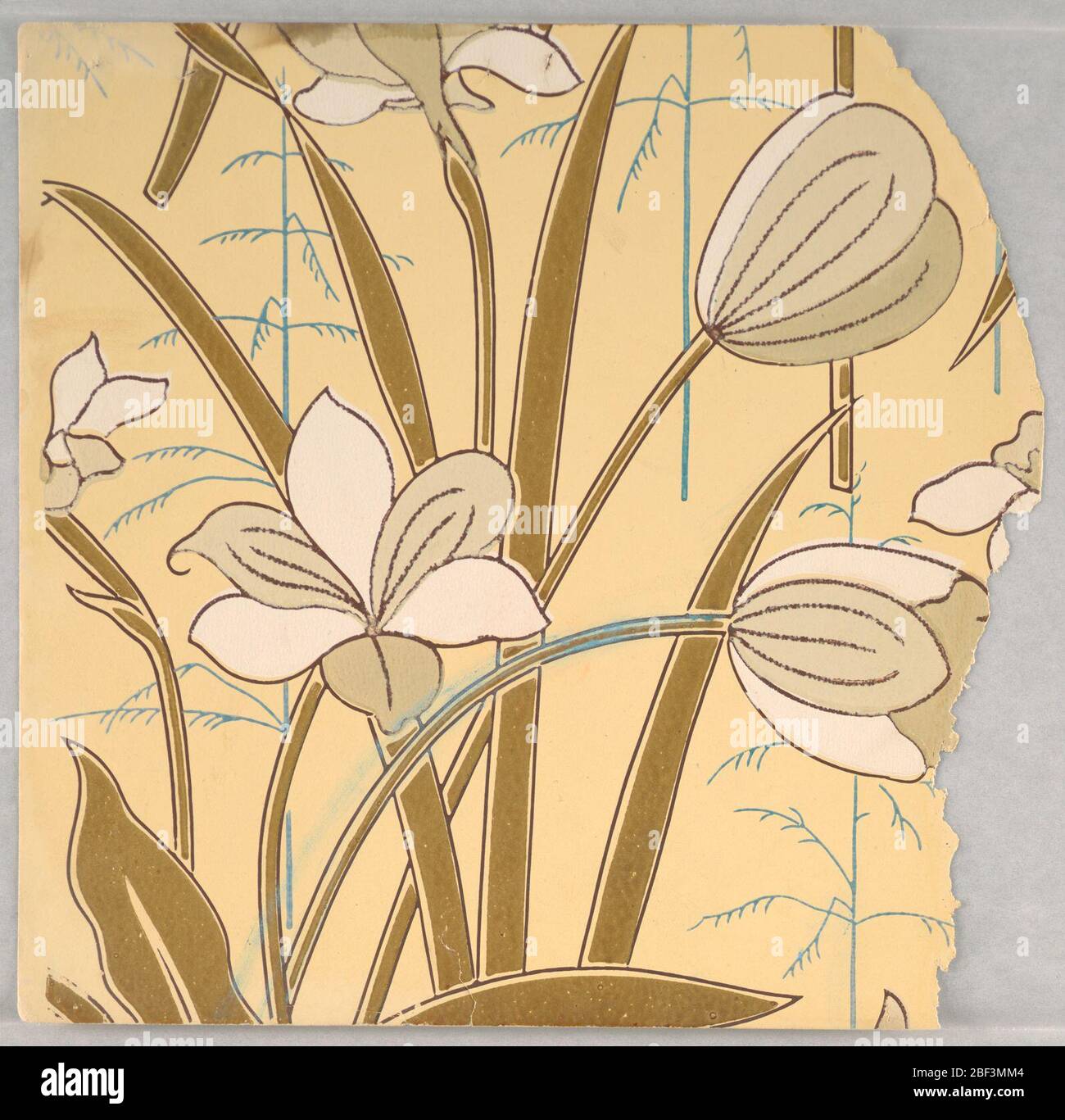 Seitenwand-Probe. Fragmentarische Tapeten aus dem Musterbuch, inklusive ästhetischer und anglo-japanischer Motive.72 Seiten mit Mustern. Stockfoto