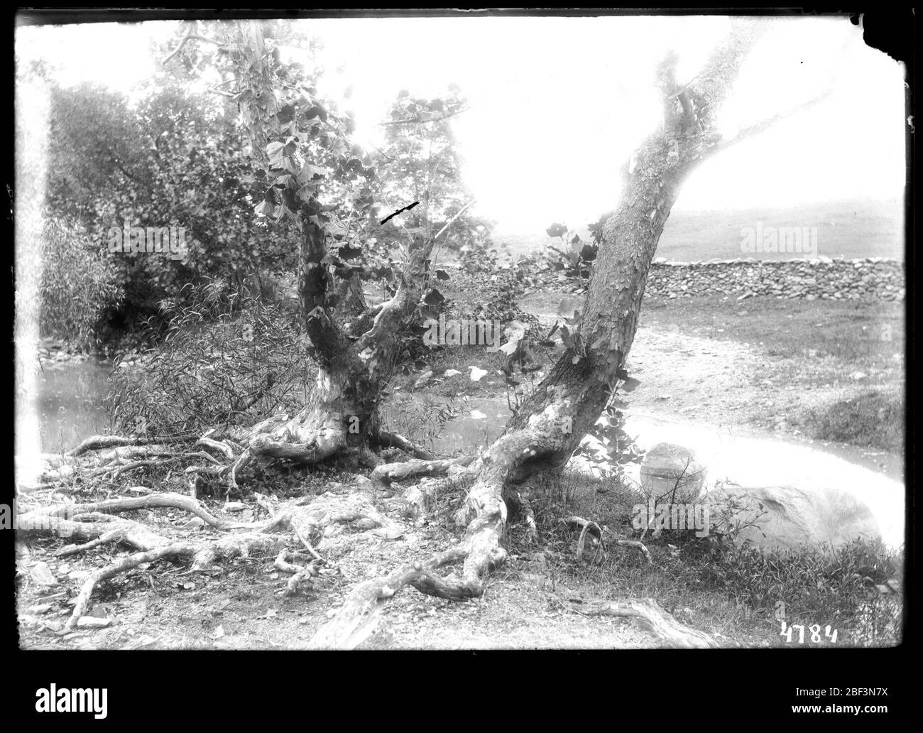 Nicht Identifizierter Betrieb. Smithsonian Institution Archives, Acc. 11-006, Box 014, Bild-Nr. MAH-4784Smithsonian Institution Archives Capital Gallery, Suite 3000, MRC 507; 600 Maryland Avenue, SW; Washington, DC 20024-2520 Stockfoto