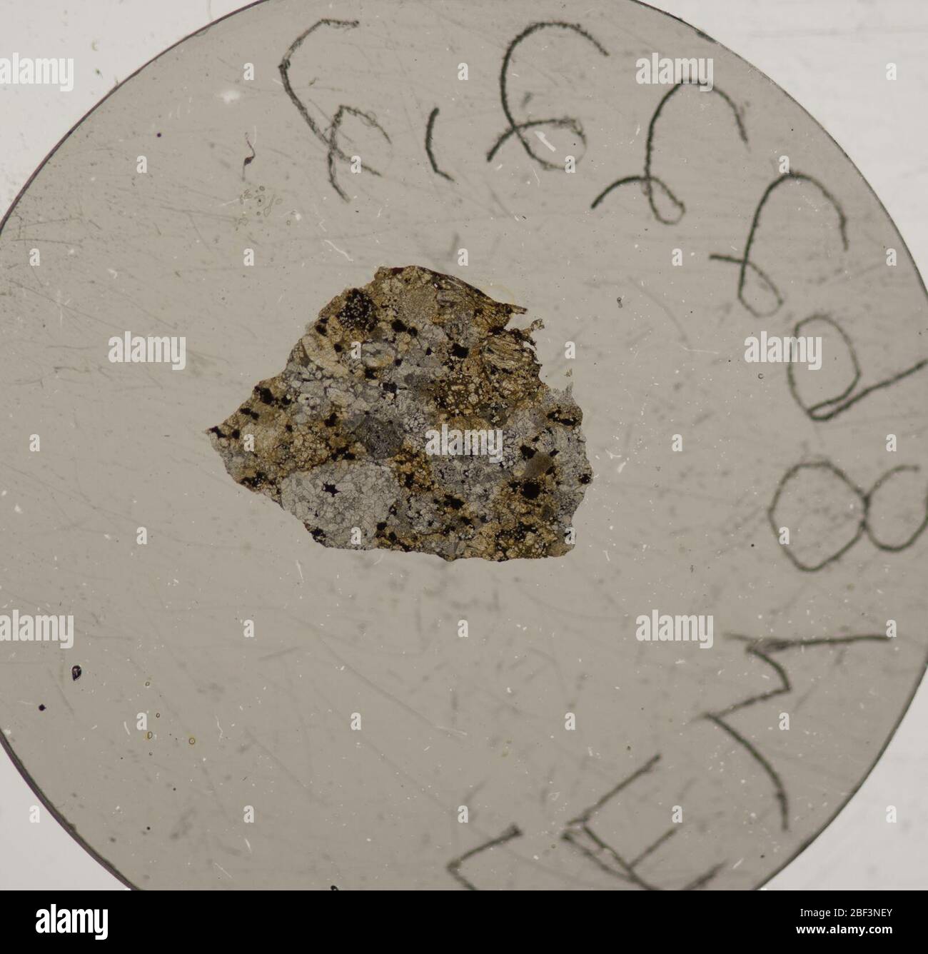 LEW 862222. August 20181, 23 Stockfoto