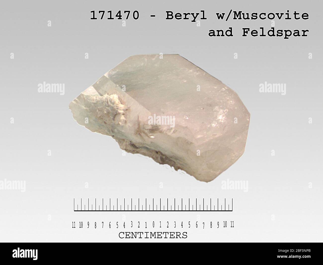 Beryl. Oktober 20181 Stockfoto