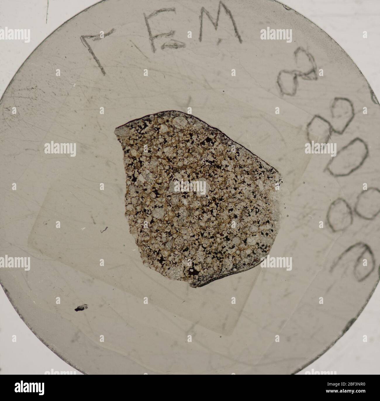 LEW 880862. August 20181, 23 Stockfoto