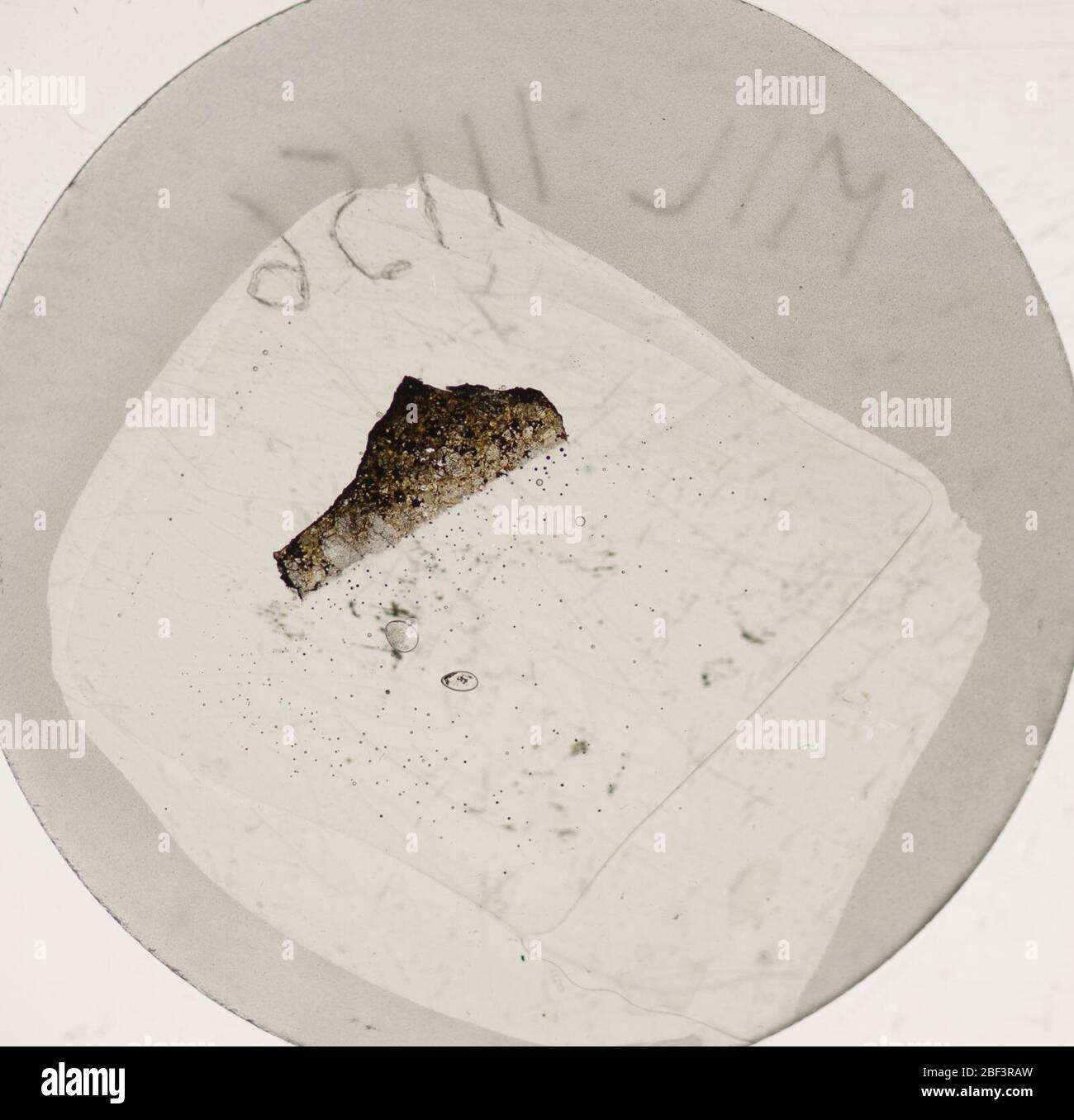 MIL 111562. August 20181, 23 Stockfoto
