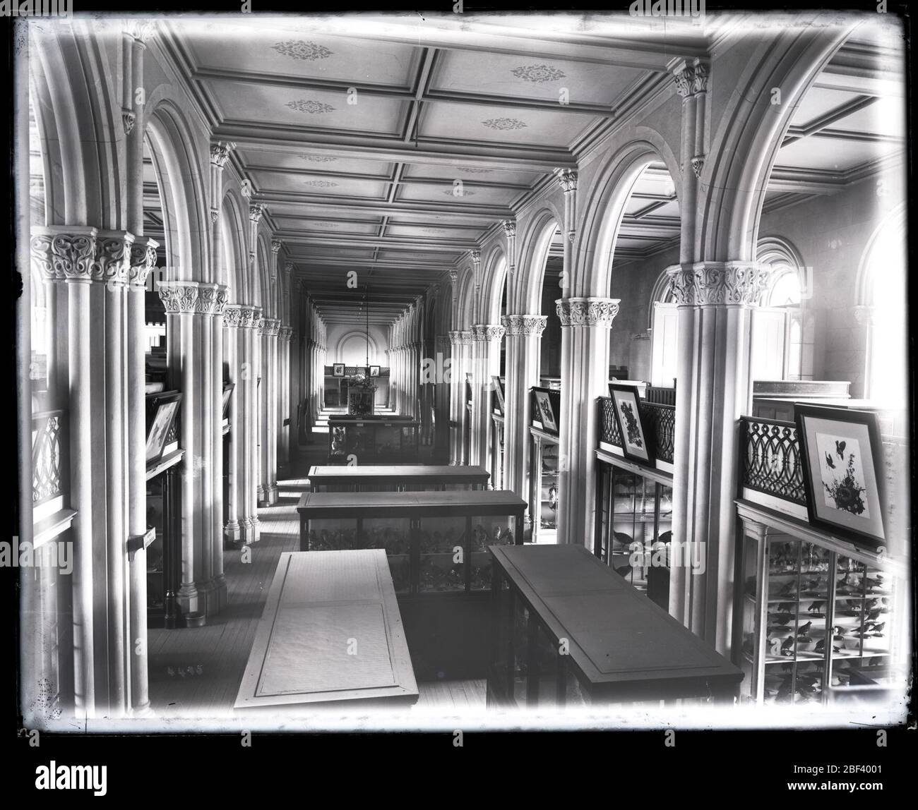 Great Hall Ausstellungen. Auch bekannt als 4495.Siehe auch Record Unit 95, Box 41, Folder 15.Exponate in der Großen Halle des Smithsonian Institution Building oder Schloss.Smithsonian Institution Archives, gem. 11-007, Box 020, Bild-Nr. Stockfoto