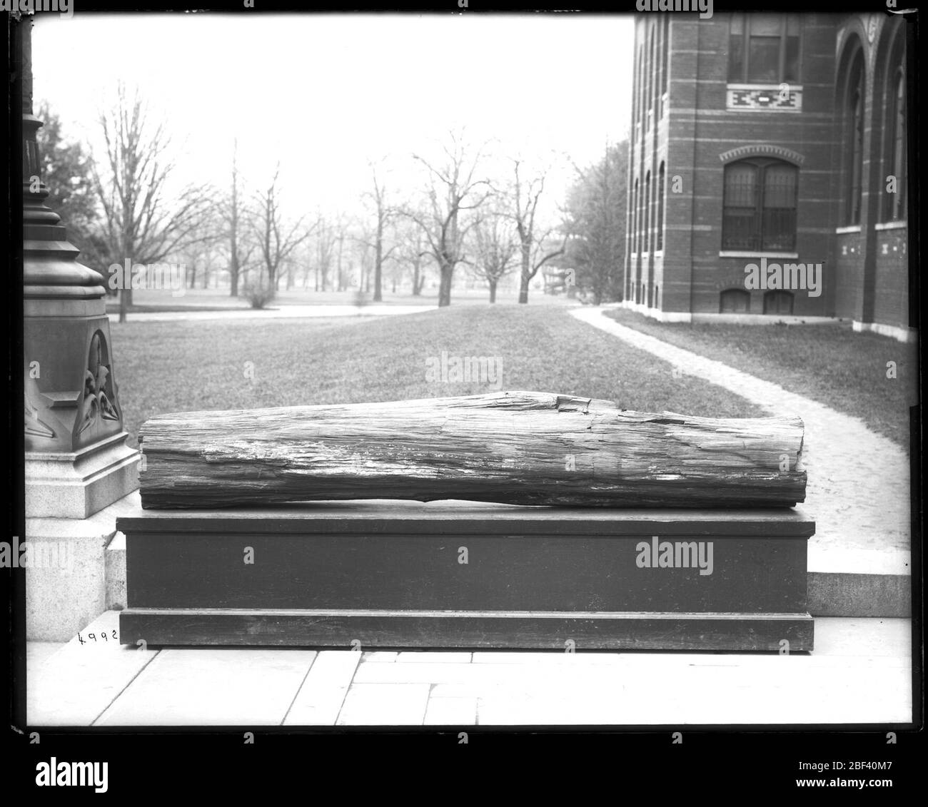 Versteinerte Baumstammbäume oder Fossilien vor dem United States National Museum. Auch bekannt als 4992.Siehe auch Record Unit 95, Box 32, Folder 8.Jetzt bekannt als das Arts and Industries Building.Smithsonian Institution Archives, acc. 11-007, Box 025, Bild-Nr. Stockfoto