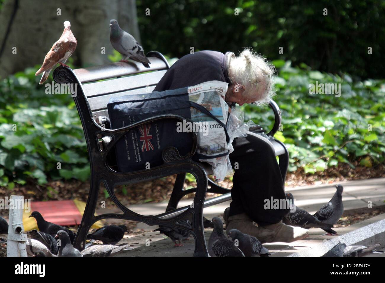 ÄLTERE OBDACHLOSE FÜTTERN DIE TAUBEN IM HYDE PARK, SYDNEY, NEW SOUTH WALES, AUSTRALIEN. Stockfoto