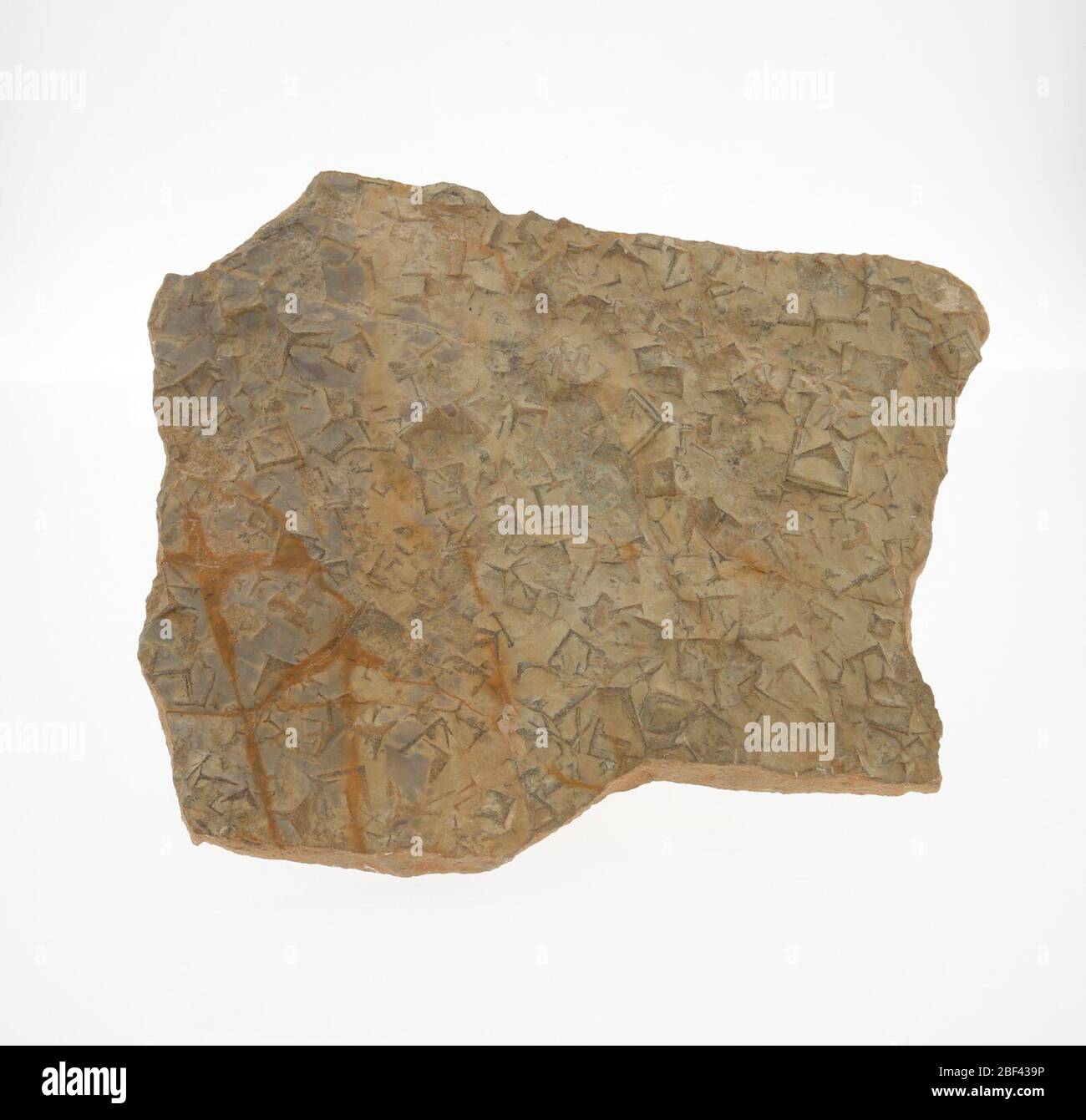 Schiefer. Devon? 9. April 201954176186 Stockfoto