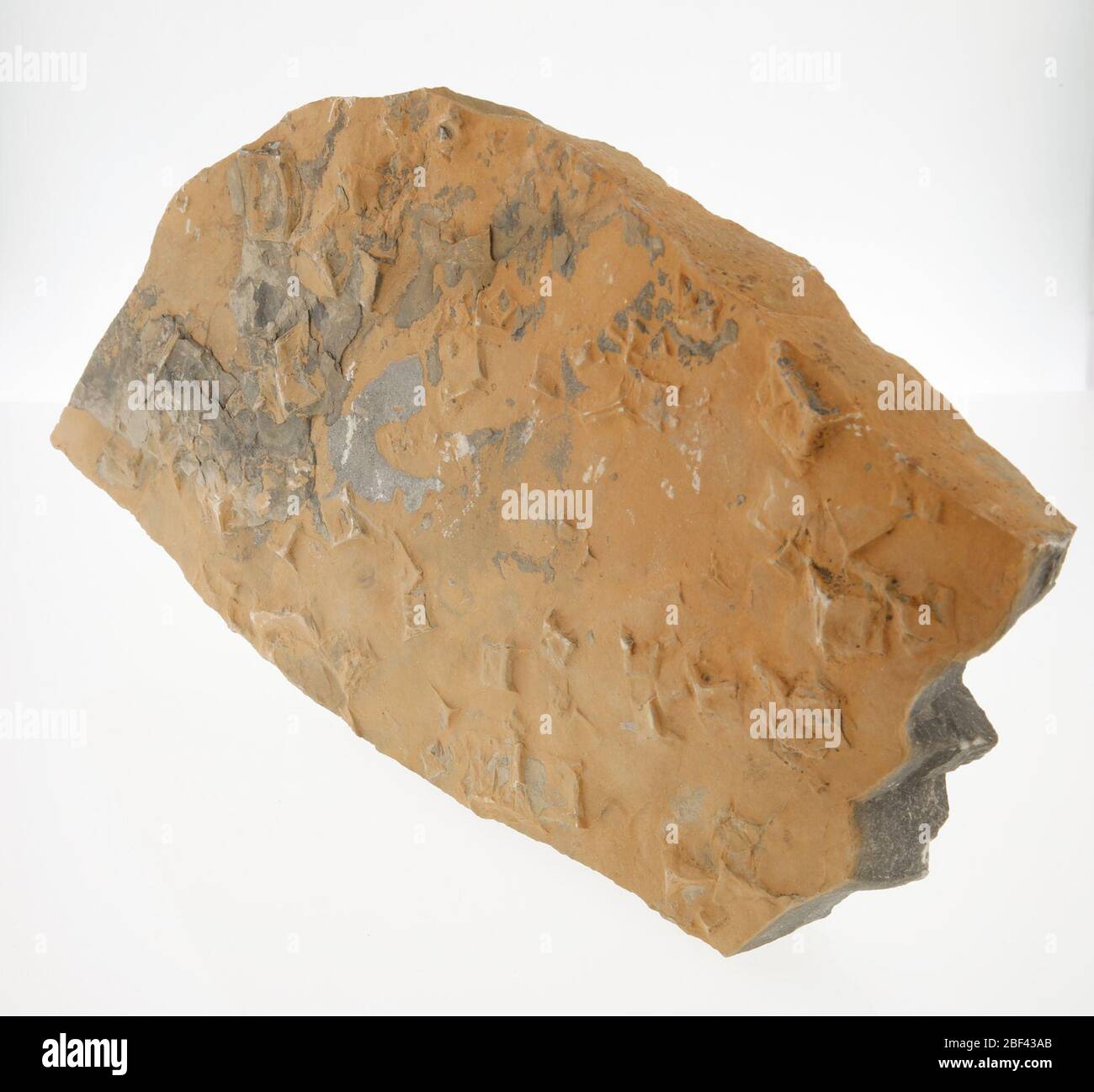 Schiefer. Cambrian14. März 20196Bosworth-Lower Stockfoto