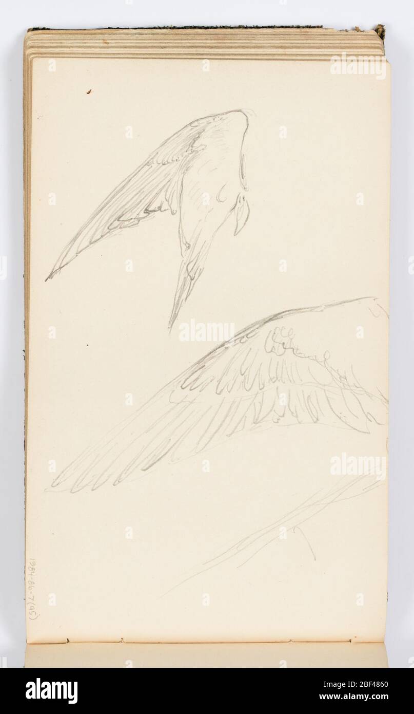 Skizzenbuch Seitenflügel. Zwei Skizzen von Flügeln, eine über der anderen. Stockfoto