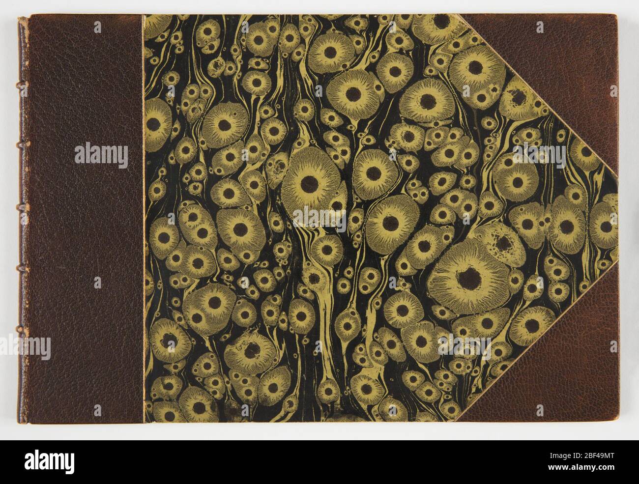 Nouveau Livre de Singes Neues Buch der Affen. Gebundener Band von 12 Drucken mit Affen in Menschenkostüm, die verschiedene Szenen zeigen. Stockfoto